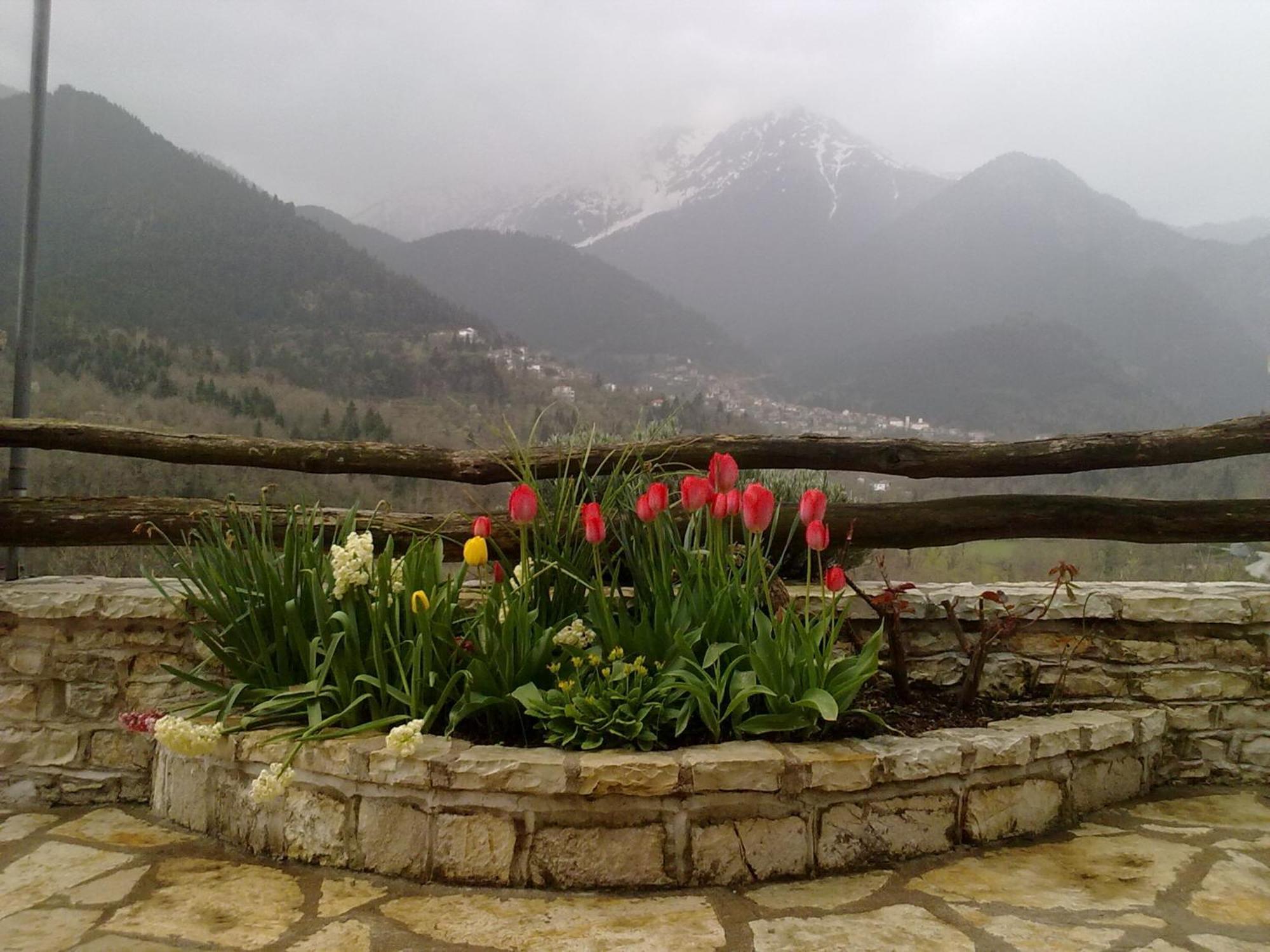 Rizoma Guesthouse Mikro Chorio  Екстер'єр фото